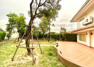 Backyard with trees and patio