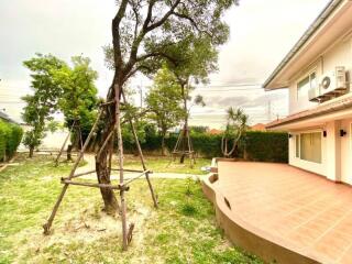 Backyard with trees and patio