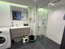 Modern bathroom with walk-in shower and laundry area