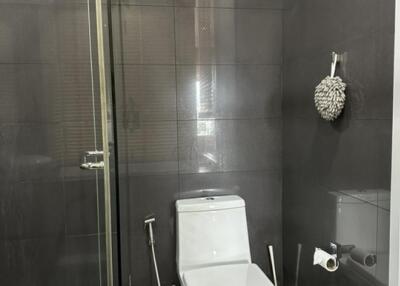 Modern bathroom with toilet and glass shower