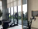 Modern home gym with machines and large windows