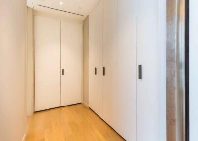 Modern hallway with built-in closets