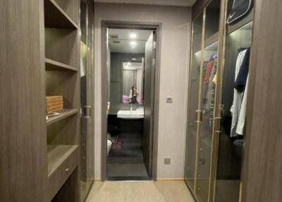 Walk-in closet with wooden shelves and glass-paned wardrobes