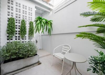 Cozy patio with greenery and seating