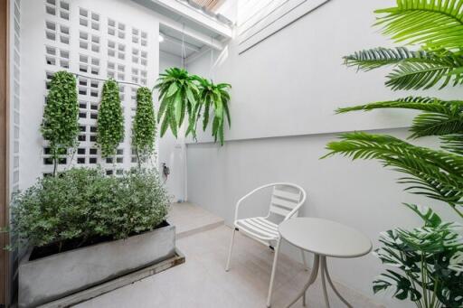 Cozy patio with greenery and seating