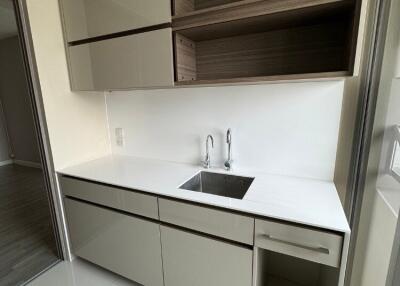 Modern kitchen with sleek cabinetry and sink