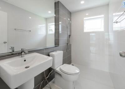 Modern bathroom with sink, toilet, and shower