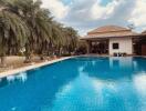 Outdoor pool area with palm trees and pool house