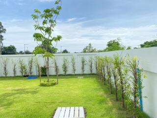 Spacious backyard garden with green lawn and trees