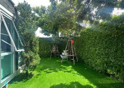 Well-maintained green backyard with natural light