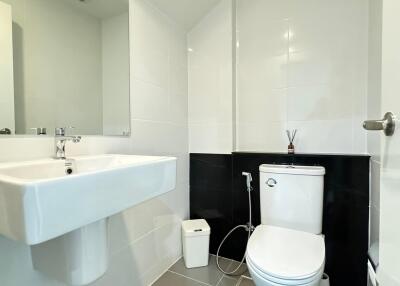 Modern bathroom with white ceramic sink and toilet