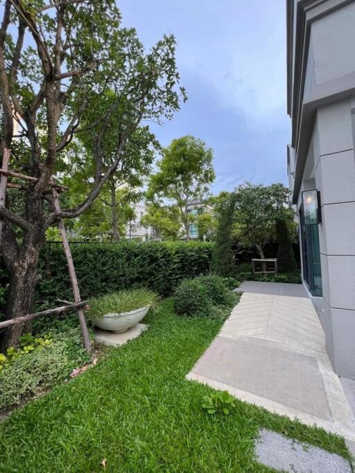 Green garden area with pathway in foreground and trees