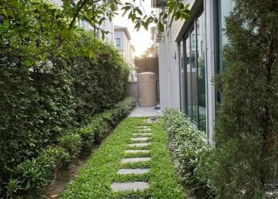 Beautiful garden pathway alongside modern building