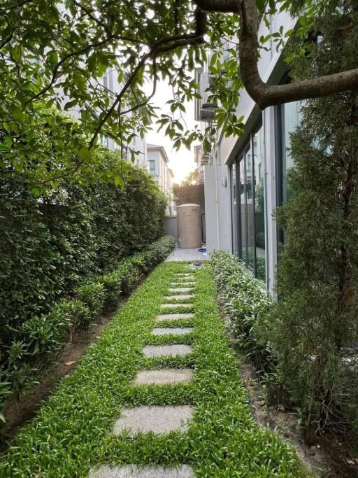 Beautiful garden pathway alongside modern building