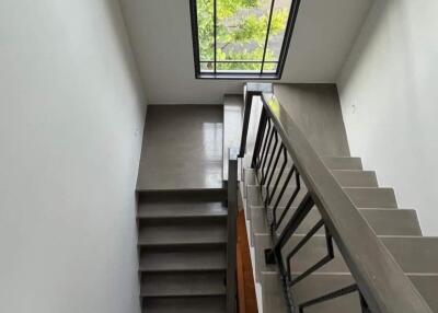 Modern staircase with large overhead window