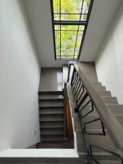 Modern staircase with large overhead window