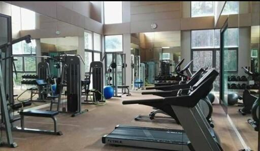 Well-equipped gym with various exercise machines and weights