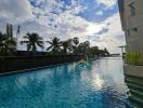 Swimming pool with surrounding palm trees