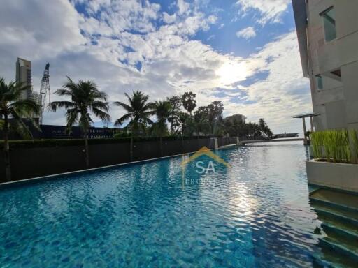 Swimming pool with surrounding palm trees