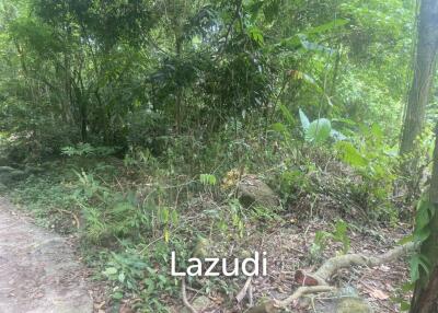 11 rai of Premium Land for Sale in Maret Koh Samui