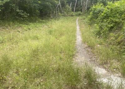 11 rai of Premium Land for Sale in Maret Koh Samui