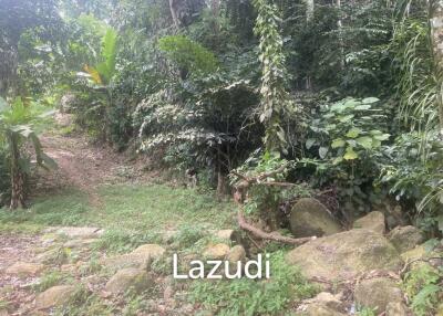 11 rai of Premium Land for Sale in Maret Koh Samui