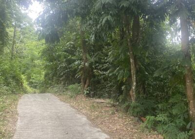 11 rai of Premium Land for Sale in Maret Koh Samui