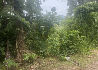 11 rai of Premium Land for Sale in Maret Koh Samui