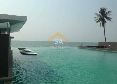 Modern infinity pool with ocean view and a single palm tree