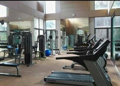 Modern gym with various exercise equipment