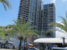 High-rise building with palm trees in the foreground