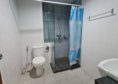 Modern bathroom with shower and toilet