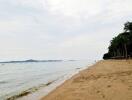 Beach view with sand and water