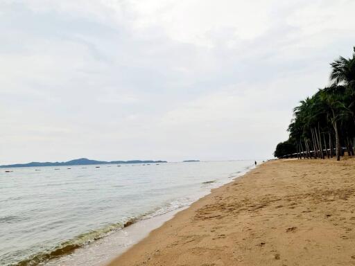 Beach view with sand and water