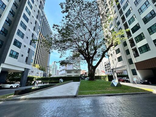 Outdoor area with residential buildings and a large tree