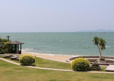 A beachfront view with garden area