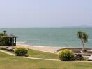 A beachfront view with garden area