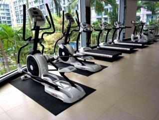 Well-equipped fitness center with modern exercise machines and a view of greenery.