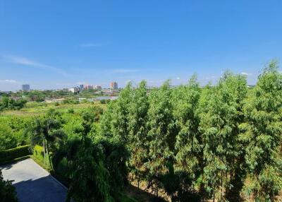 View of the greenery and cityscape from the property