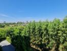 View of the greenery and cityscape from the property