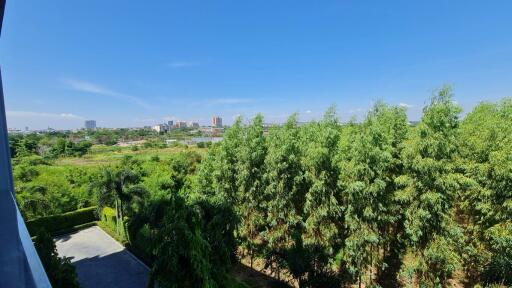 View of the greenery and cityscape from the property