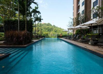 Outdoor swimming pool with lounge chairs and greenery