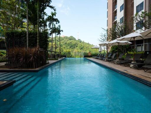 Outdoor swimming pool with lounge chairs and greenery