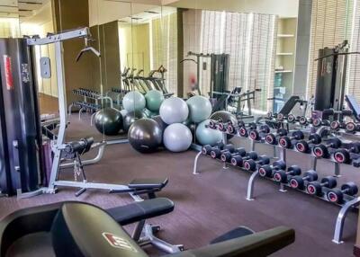 Well-equipped gym with various exercise equipment, mirrors, and exercise balls