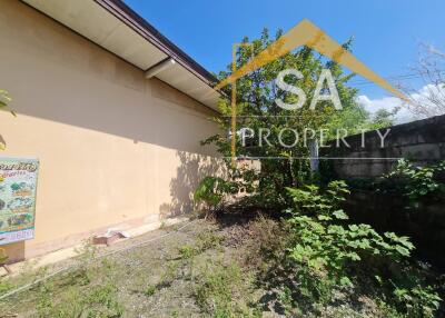 Outdoor area with building facade and vegetation