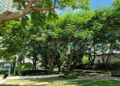 Lush garden with trees and grass