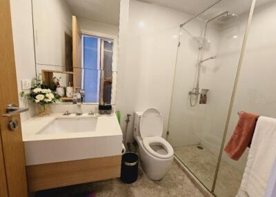 Modern bathroom with large shower and toilet