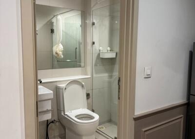 Modern bathroom with shower enclosure and toilet