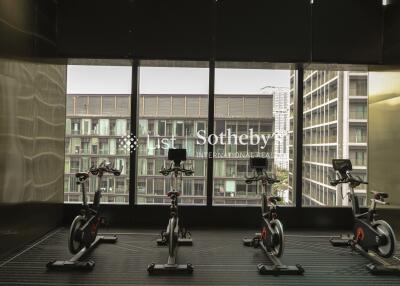 Modern gym with exercise bikes and large windows