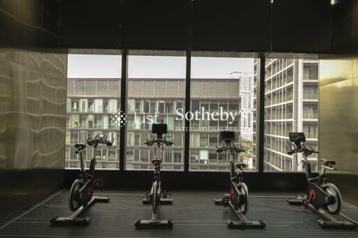 Modern gym with exercise bikes and large windows